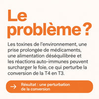Convertia — Complexe hépatique thyroïdien (60 gélules)
