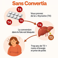 Sans Convertia : la conversion de la T4 dans le foie est bloquée