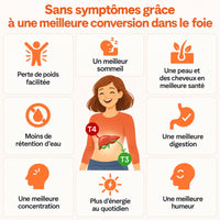 Convertia — Complexe hépatique thyroïdien (60 gélules)