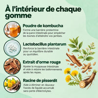 Légèra™ — Gomme kombucha probiotique pour jambes gonflées