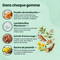Légèra™ — Gommes probiotiques au kombucha pour le soutien digestif